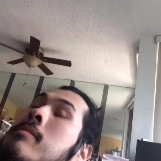 dorsalvania:  “samurai wakes up in the present day” this was the best vine ever and it’s not even close 
