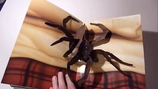 annabellehectorworldofweird:  pop up book of phobias