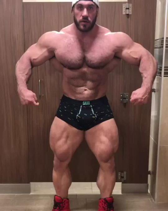 Antoine Vaillant 