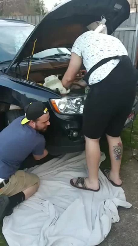 bihan56:  pup-trojan:  When little crinkle pups try fixing a car.  Ironically the only two with car repair experience were wearing diapers.   j adore