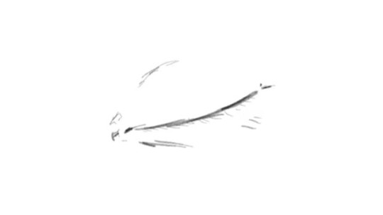 autodesk sketchbook failed to open image