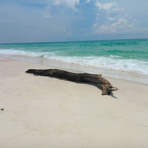 No Plan but you're sitting on an empty beach, looking out on the sea