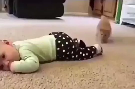 somecutething:  That baby didn’t need that sock anyway