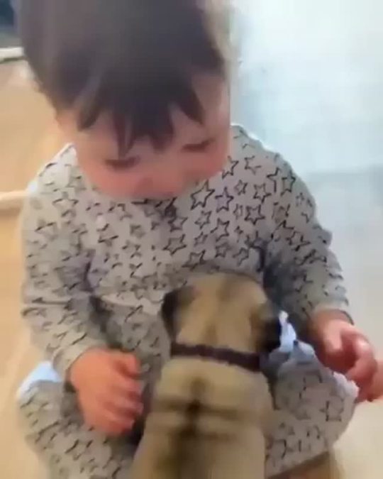 somecutething: Baby meets baby!    Awwww, cuteness overload!!