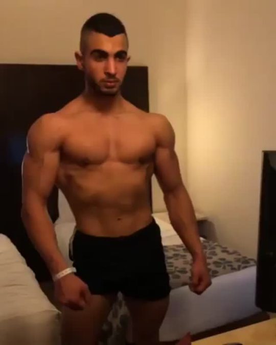 Arab Muscle Gods On Tumblr