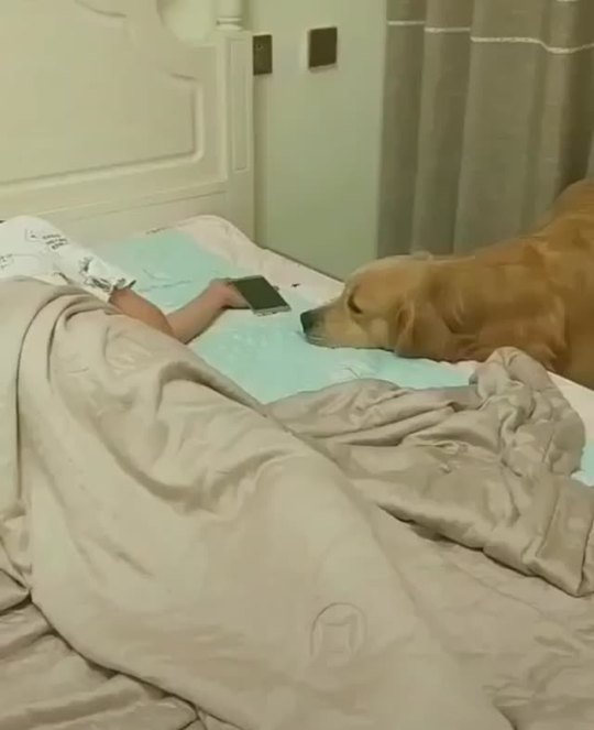 somecutething:Owner fell asleep with her