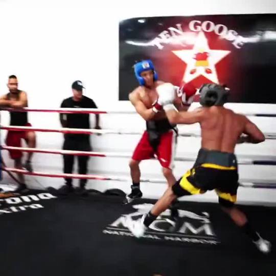 Fight Lounge Fouseytube Knocks Out Alex Wassabi