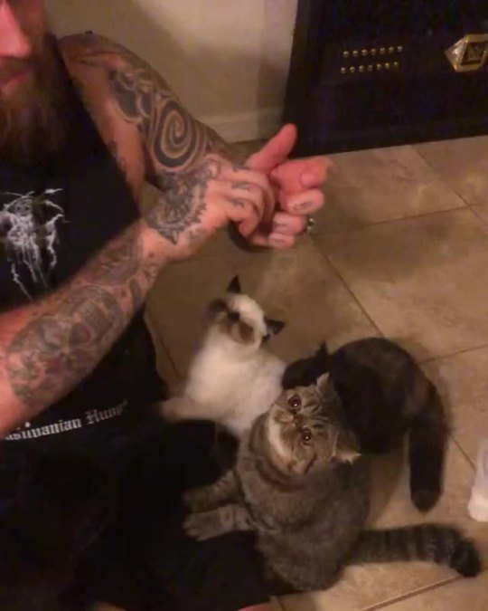 Feeding Frenzy Friday