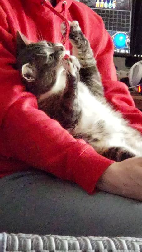 “What was that noise!?!” (via misskitty1609)