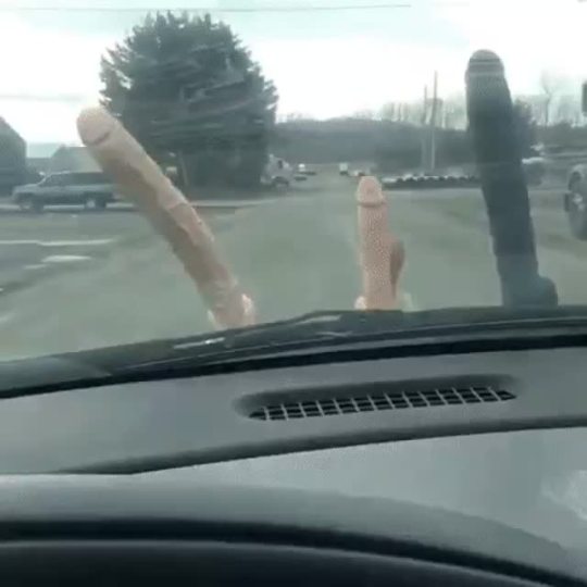 Car Dildo