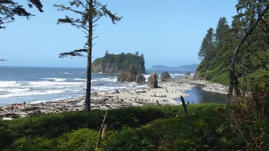 Sex frommylimitedtravels:Ruby Beach.Even on a pictures