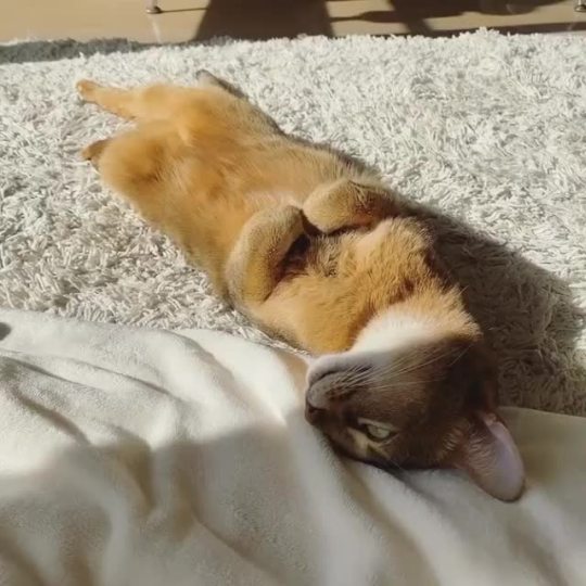 Lying back and chilling. (via m_asirt)