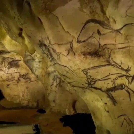 malemalefica:  The Chauvet cave, France, the art of prehistory. In 1994, three friends discovered in the south of France a cave with magnificent cave paintings, more than 30,000 years old.Under the ground of the Ardèche region, an invaluable treasure