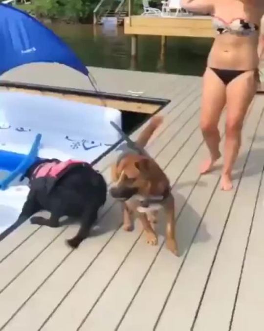 Helicopter tail.