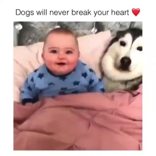 They do break your heart, but only once