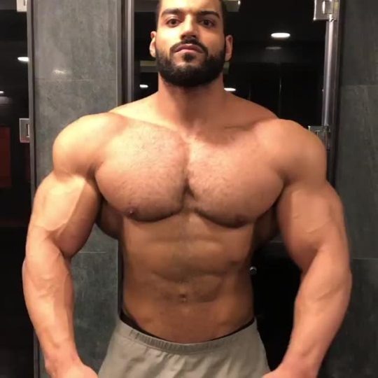 gori86musclevid:Ibrahim Sobhi