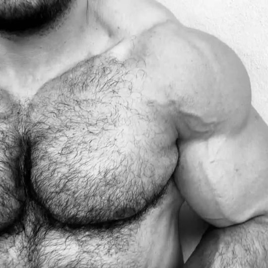 muscle-leather-steel:Pedro Augusto | My goal body !!! This is how I strive to become !!! PECS ET AISSELLES POILUS !