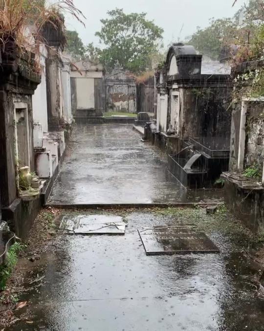 darkartfinds:Heavy rain on a cemetery in New Orleans (shared from Glam Beckett)