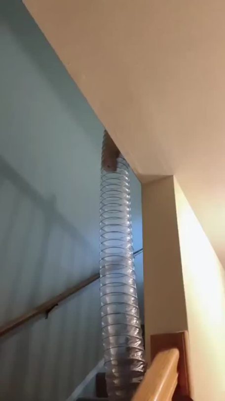 Porn Pics everythingfox:Slinky boi(via)