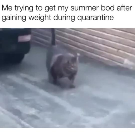 Quarantine Need to get in shape right meow 😂