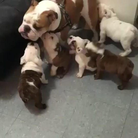 have kids they said, it will be fun they said