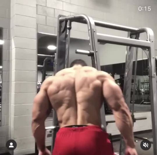 Sexy Muscle On Tumblr