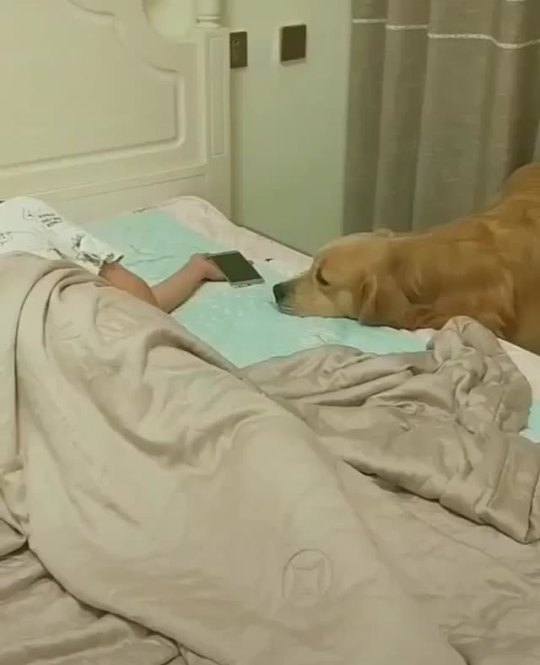 “It’s nice to know that he takes care of me” (via)