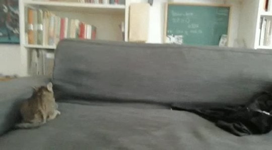 âWhen you skip the tutorialâ (Source)