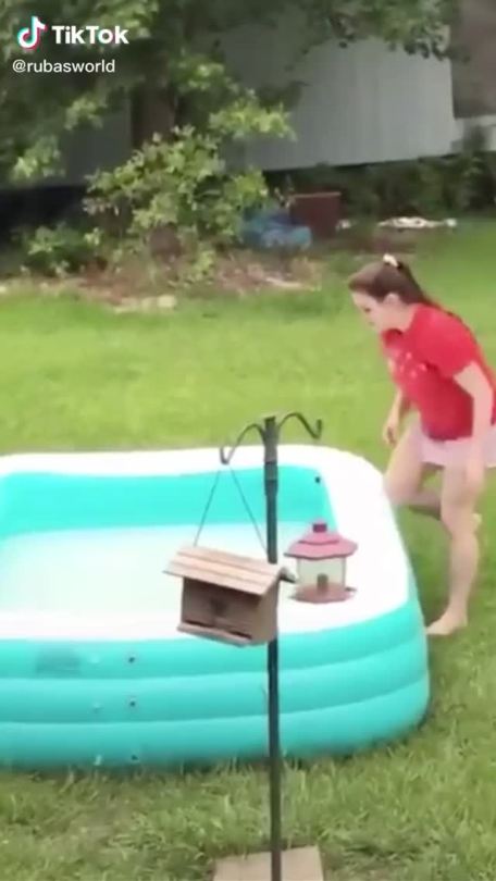 sage-nebula:actualaster:lesbyterianchurch:funny-tik-toks:Oh noThats just how squirrels areJust … flip the pool over … 