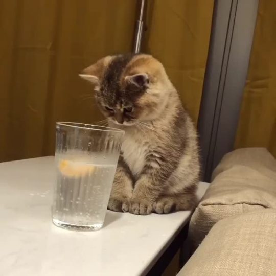 “What is this stuff?” (via chippie_gummy)