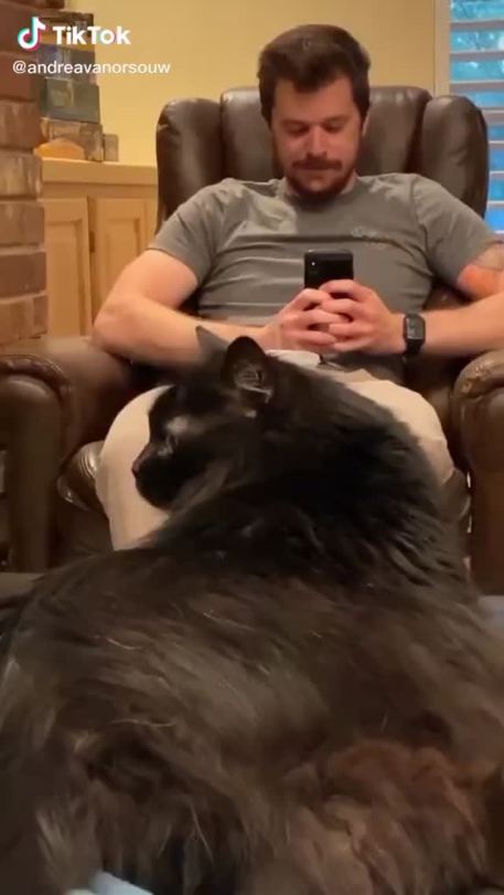 How to confuse a cat. (via andreavanorsouw)