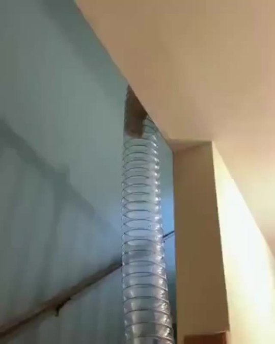Ferret stairs.